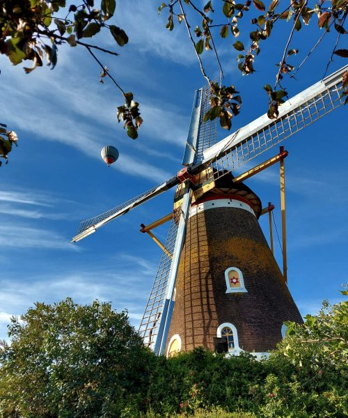 bavel-foto-windmill-00003